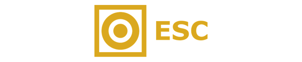 ESC Online logo